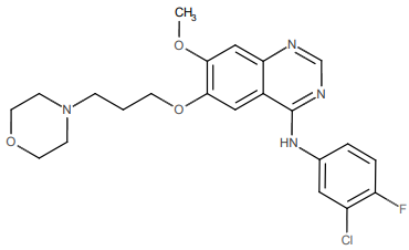 Tip Image